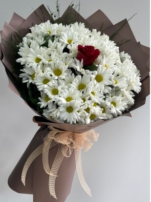 Beyaz Papatya Buketi