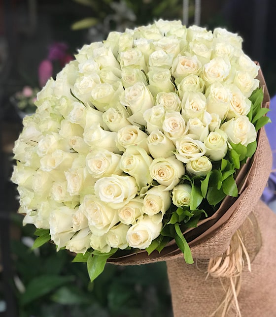 Beyaz Gül Buket'i (100 adet)