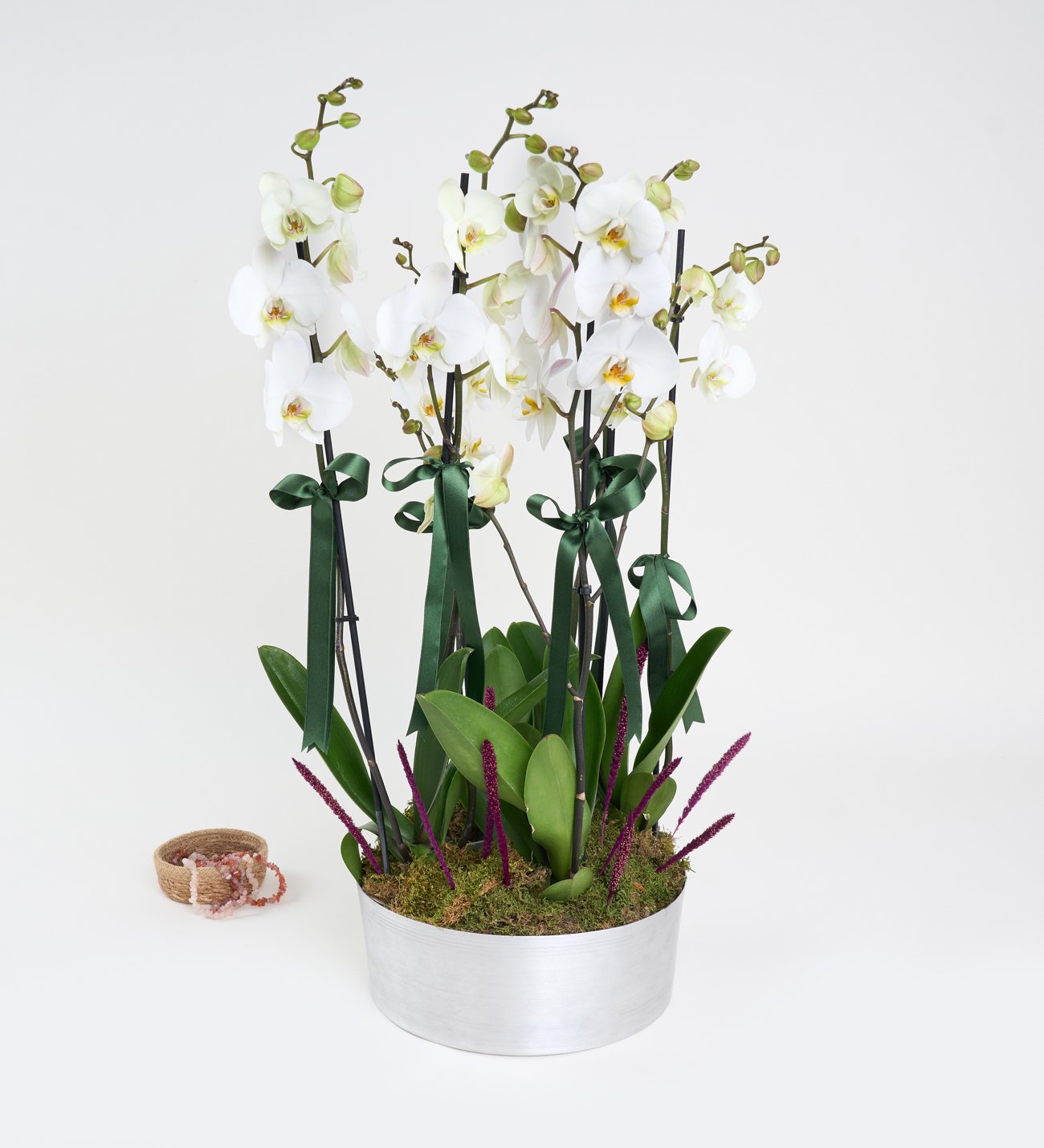 6 Dallı Beyaz Orkide